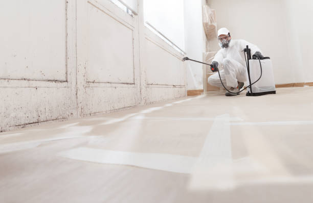 24/7 Emergency Attic Mold Remediation experts in Belleville, IL